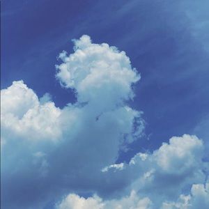 Meet your Posher, Layla